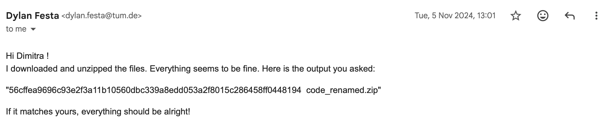 Screenshot from an email from Dylan Festa with confirmation of the hash code - Email date 05 November 2024
