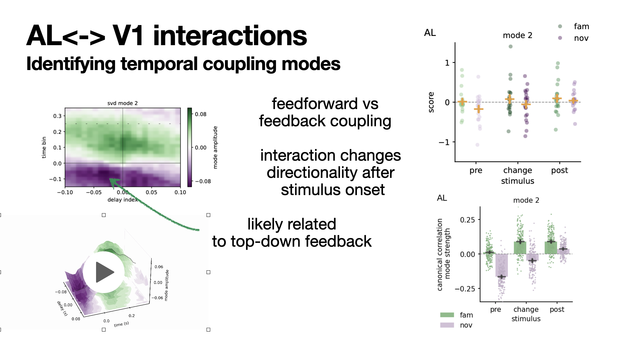Inter-area interactions- Dimitra Maoutsa