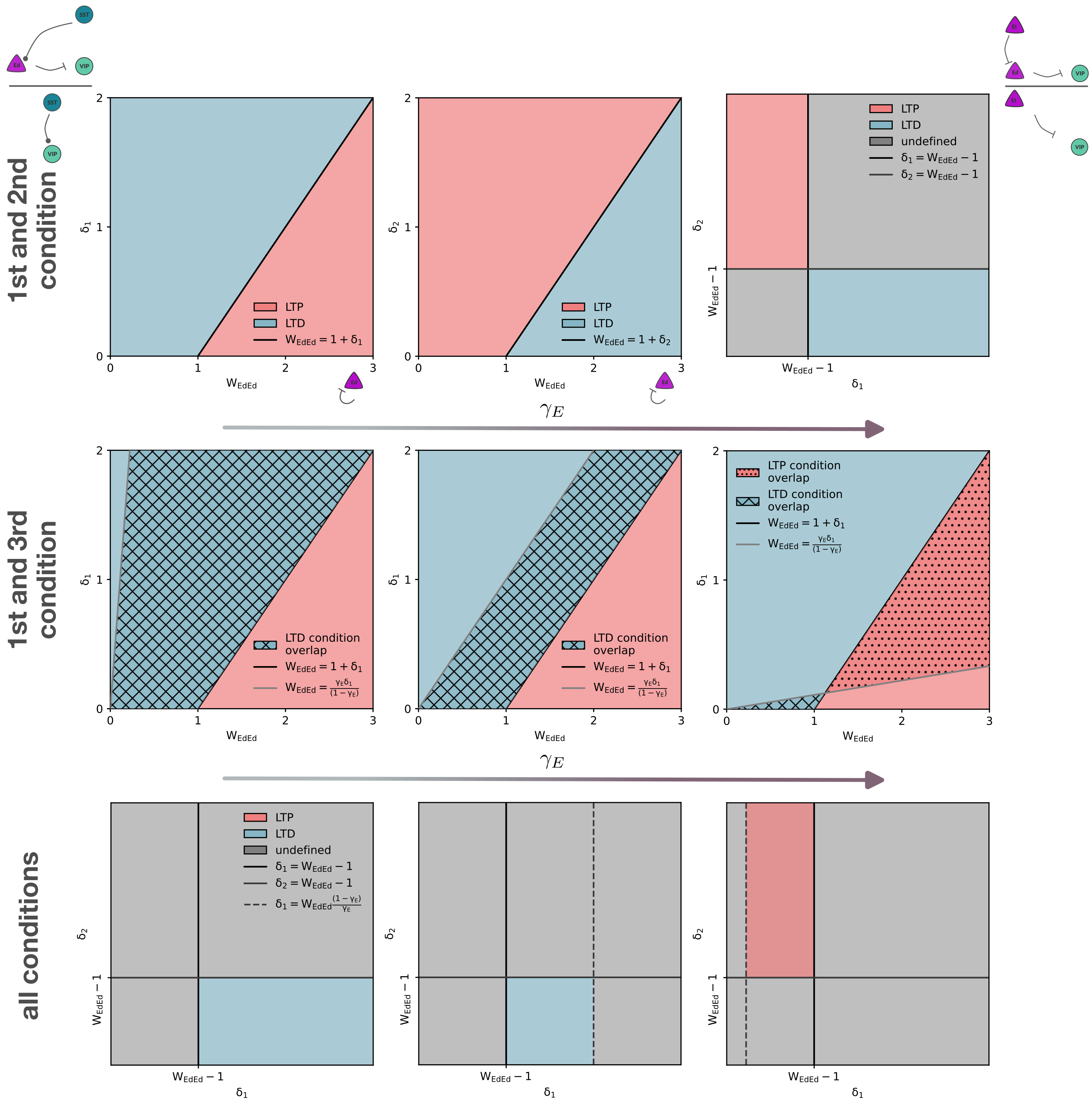 Visualised constraints for adaptation-Dimitra Maoutsa