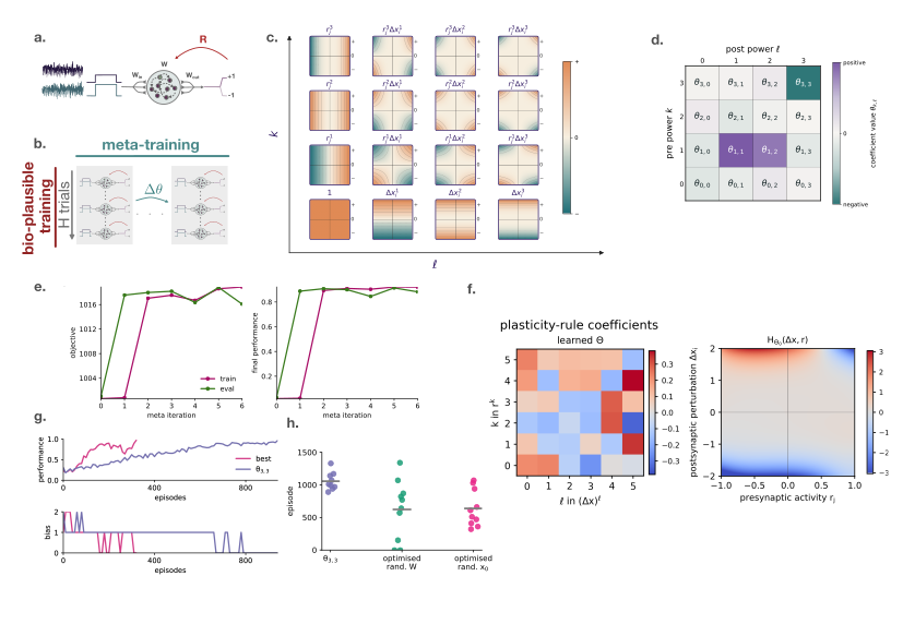 Discovering reward-driven training rules for reinforcement training of RNNs - Dimitra Maoutsa