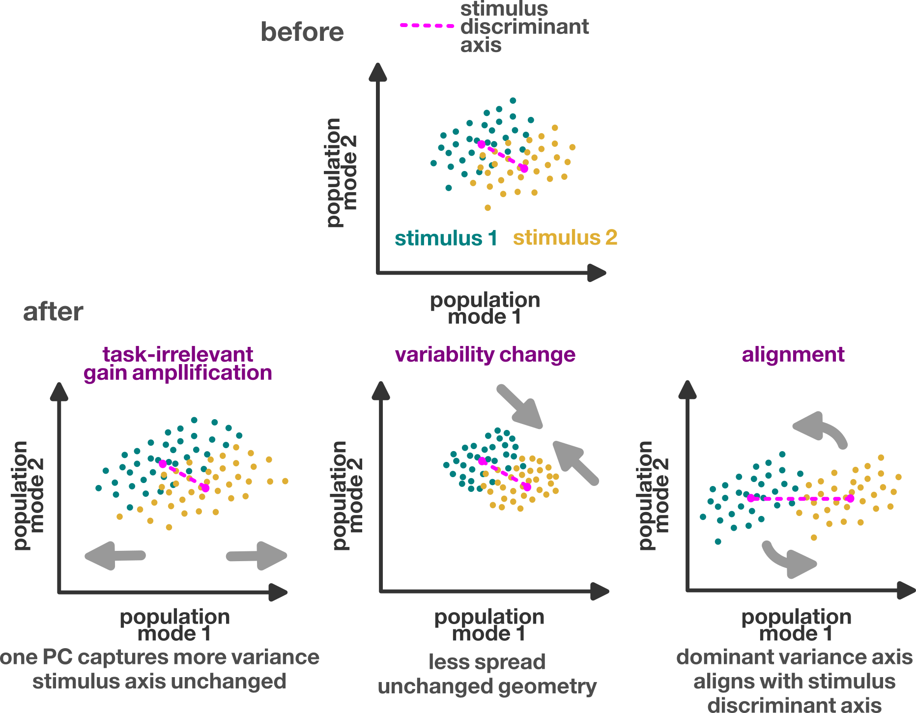 population geometry change hypotheses