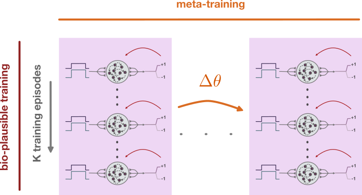 Reward-driven training of RNNs-Dimitra Maoutsa