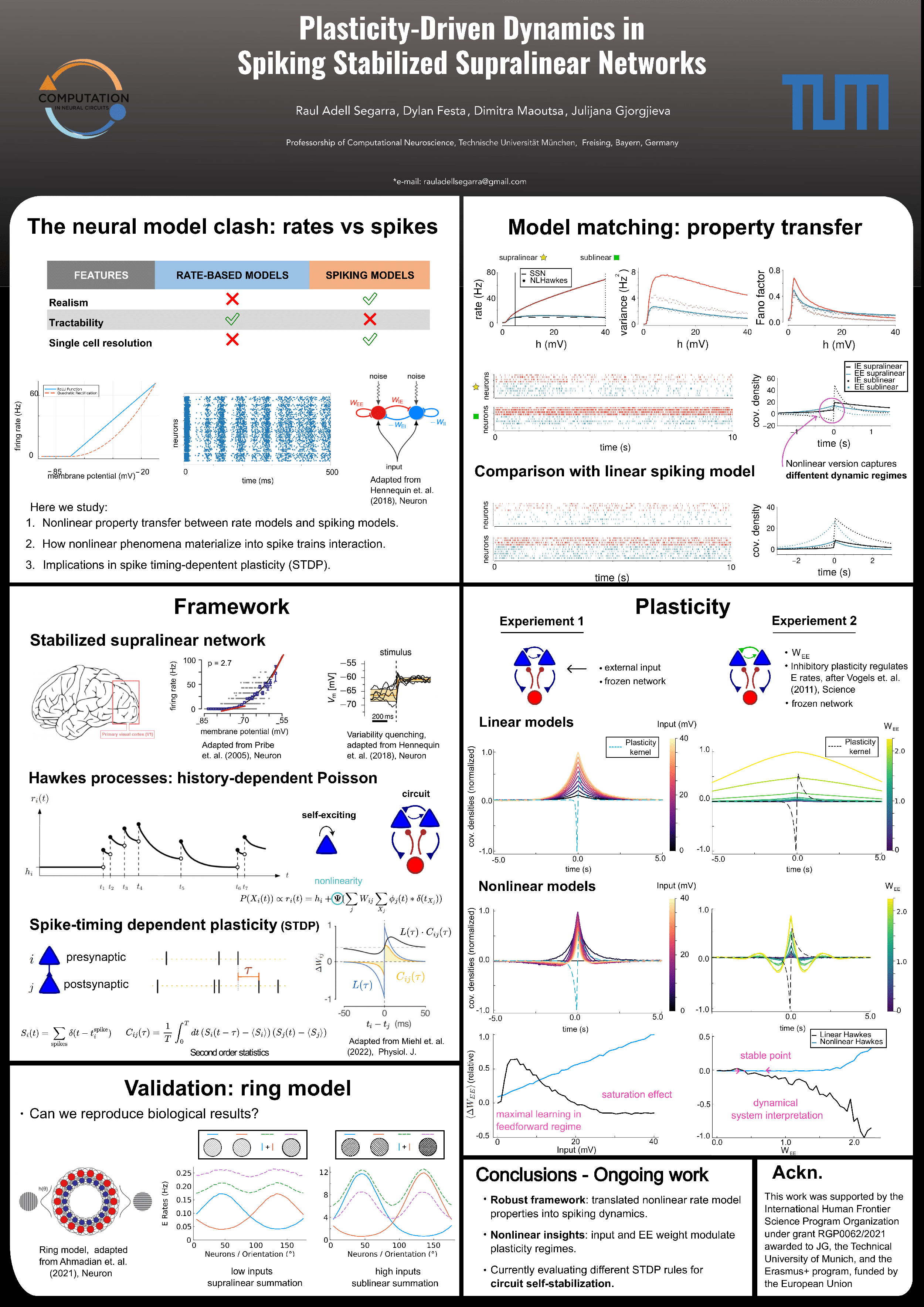 Plasticity-driven circuit self-organization on spiking stabilized supralinear networks - Raul Adell, Dylan Festa, Dimitra Maoutsa